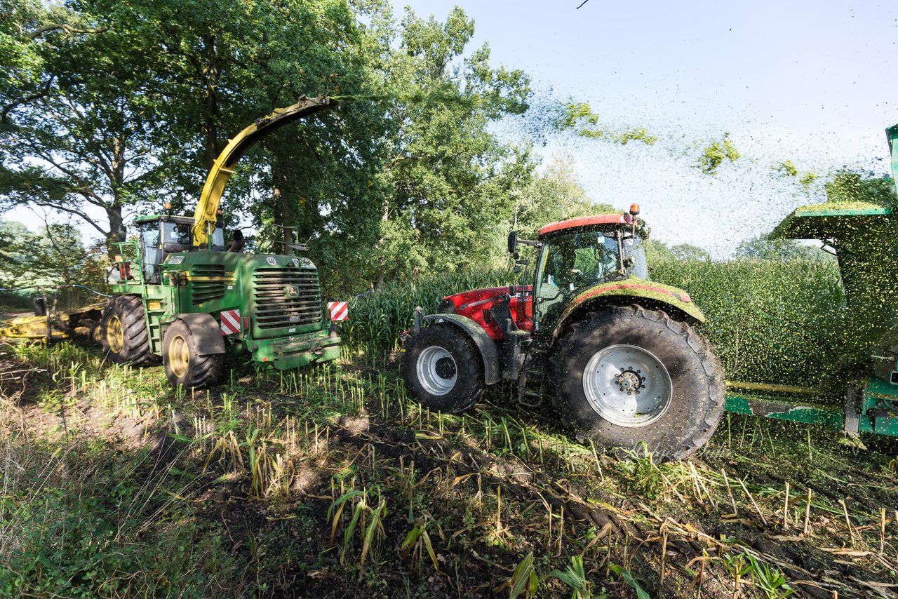 Bild 199 - Maisernte